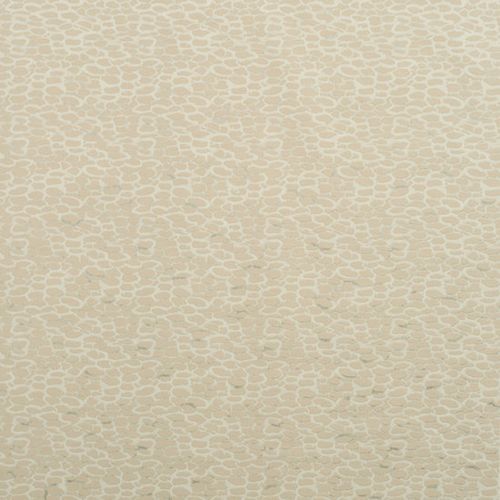 Papel-de-Parede Papel-de-Parede