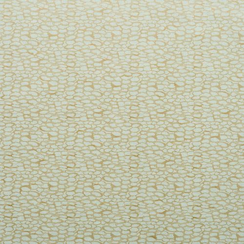 Papel-de-Parede Papel-de-Parede