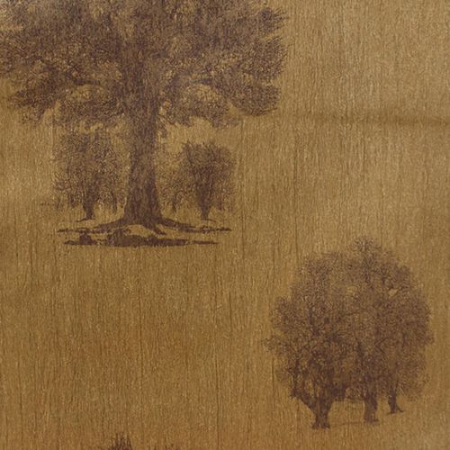 Papel-de-Parede Papel-de-Parede