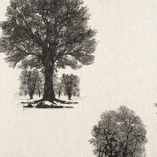 Papel-de-Parede Papel-de-Parede