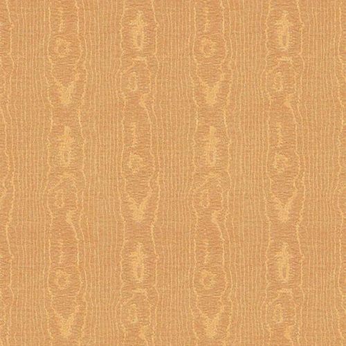 Papel-de-Parede Papel-de-Parede