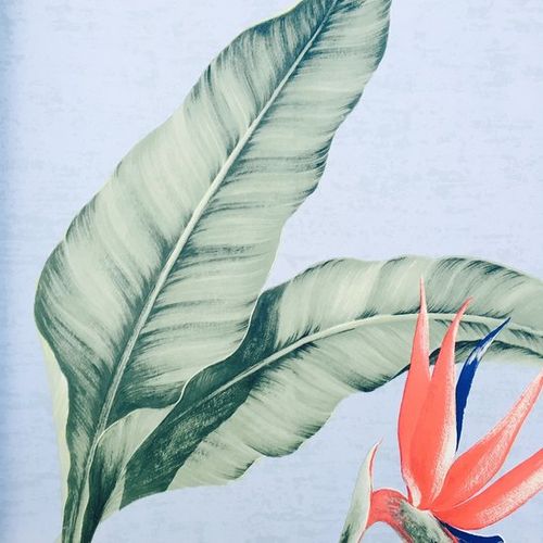 Papel-de-Parede Papel-de-Parede