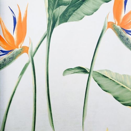 Papel-de-Parede Papel-de-Parede