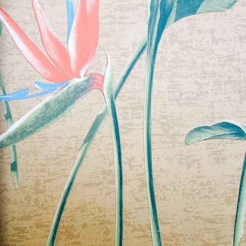 Papel-de-Parede Papel-de-Parede