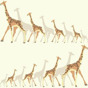 quarto-de-crianca-girafa