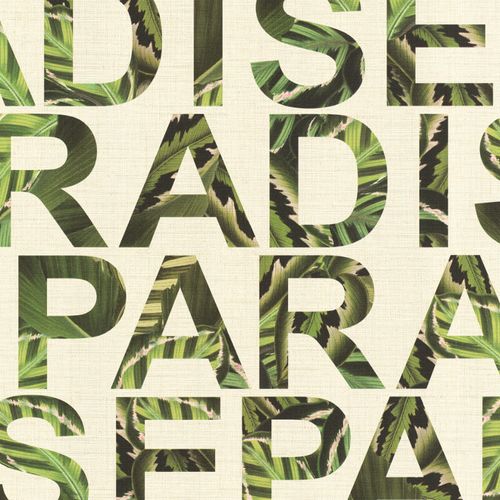 Freudin-440904 Freudin-440904