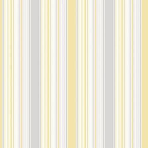Smart-Stripes-2-G67532.jpg