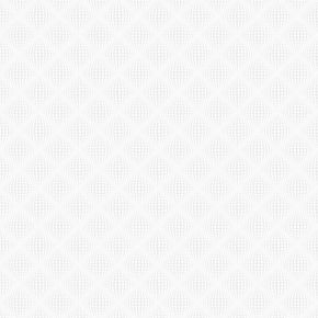 Fiesta-Modern-543301