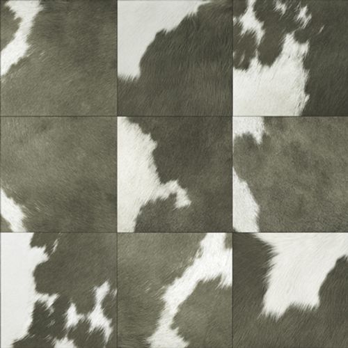 Fiesta-Modern-542014 Fiesta-Modern-542014