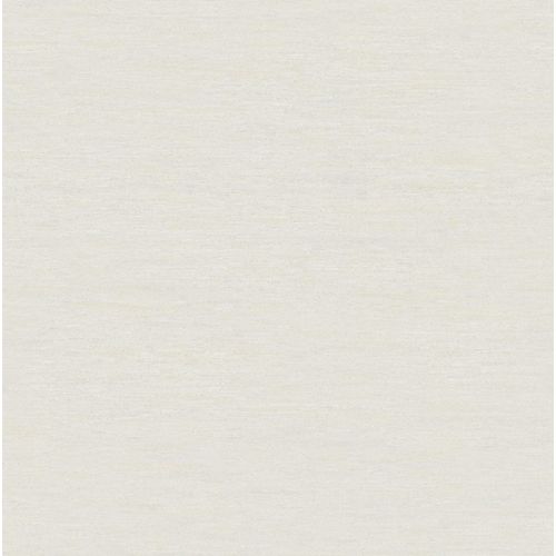 Paris-Shark-LC4004 Paris-Shark-LC4004