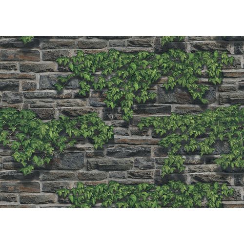 Terra-Gracia-831091 Terra-Gracia-831091