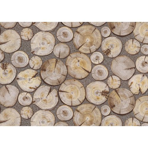 Terra-Gracia-831141 Terra-Gracia-831141