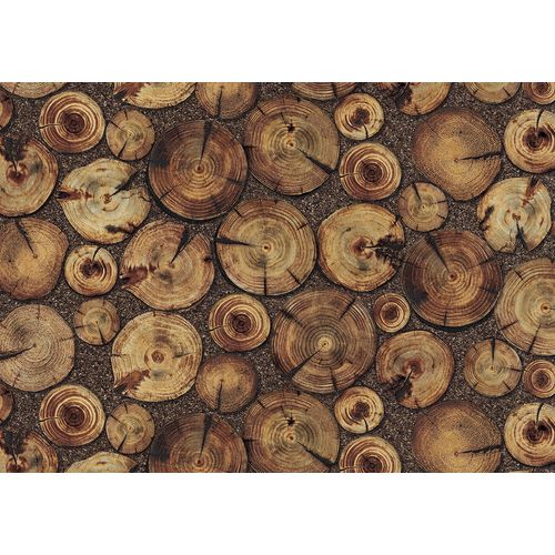 Terra-Gracia-831142 Terra-Gracia-831142