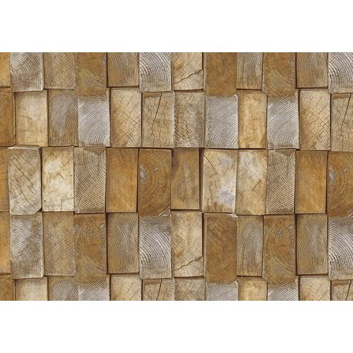 Terra-Gracia-831181 Terra-Gracia-831181