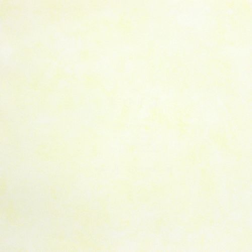 All-Kids-H2912803 All-Kids-H2912803