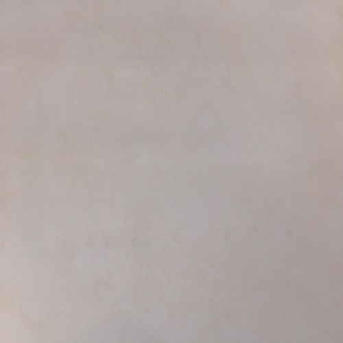 All-Kids-H2912802 All-Kids-H2912802