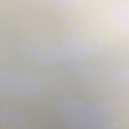 All-Kids-H2911302 All-Kids-H2911302