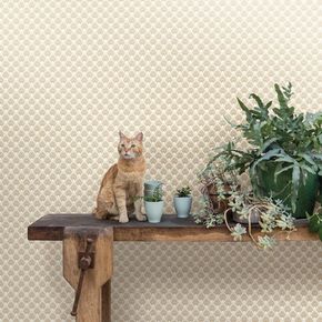 Papel-de-Parede-papel-de-parede-caselio-l-odyssee-mayotte-oys101450110