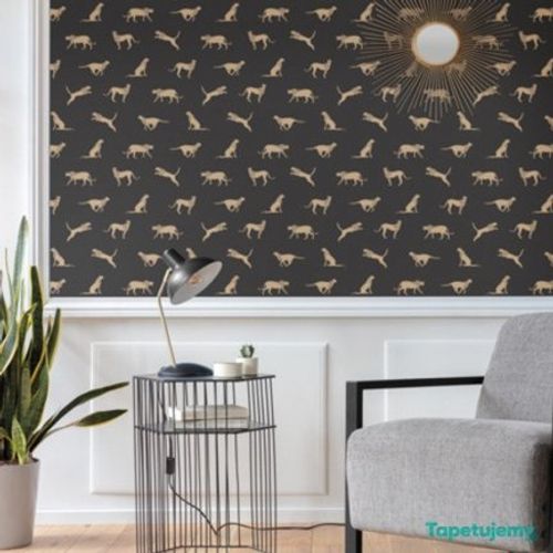 Moonlight-mlg101152091 Moonlight-mlg101152091