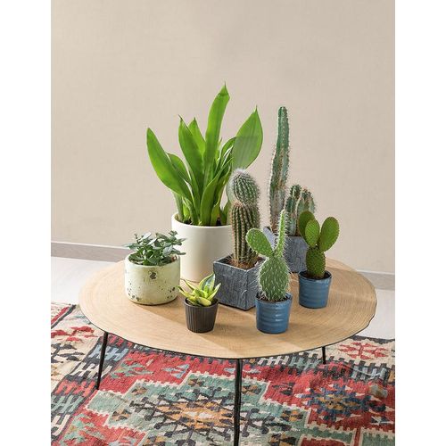 Myriad-MY1001-m Myriad-MY1001-m