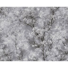 New-Walls-374201-|-Decore-com-Papel