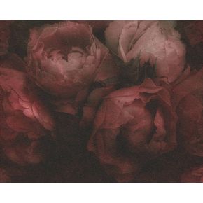 New-Walls-373924-|-Decore-com-Papel