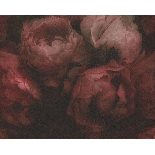 New-Walls-373924-|-Decore-com-Papel New-Walls-373924-|-Decore-com-Papel