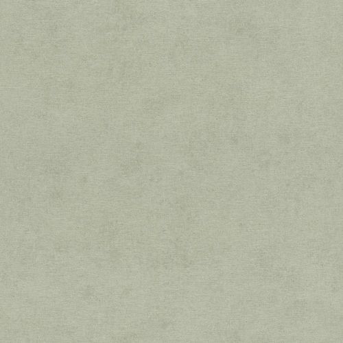 Linares-408171 Linares-408171