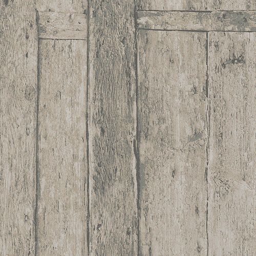 Imagine-31771 Imagine-31771