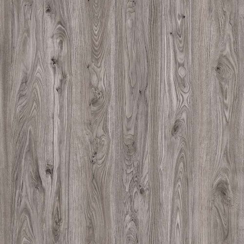 Poppi-PZ18975 Poppi-PZ18975