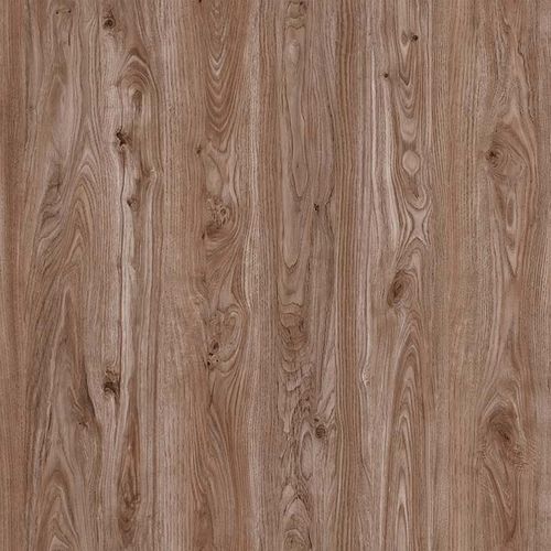 Poppi-PZ18974 Poppi-PZ18974