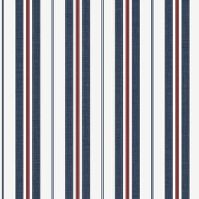 Stripes-15038