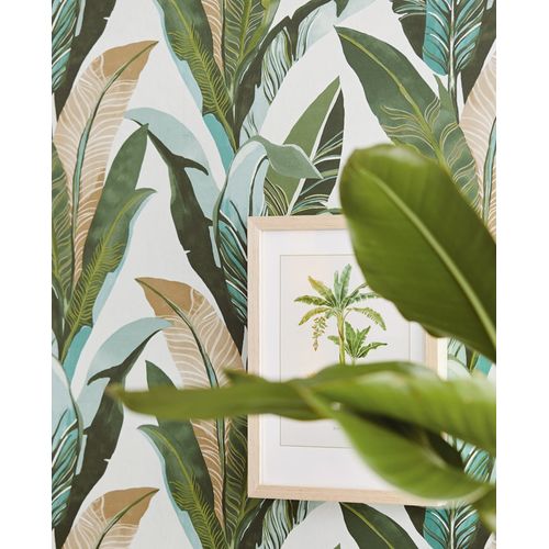 Vivid-384502-Ambiente Vivid-384502-Ambiente