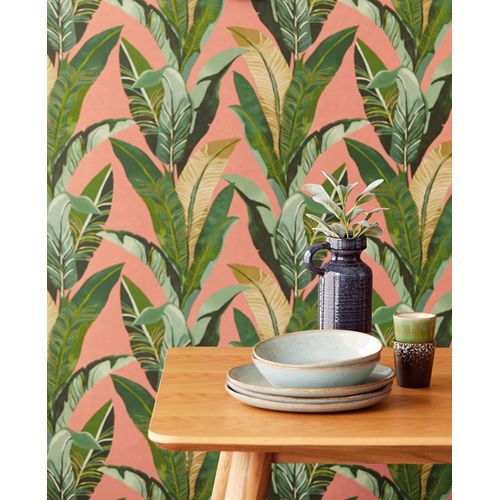 Vivid-384503-Ambiente Vivid-384503-Ambiente