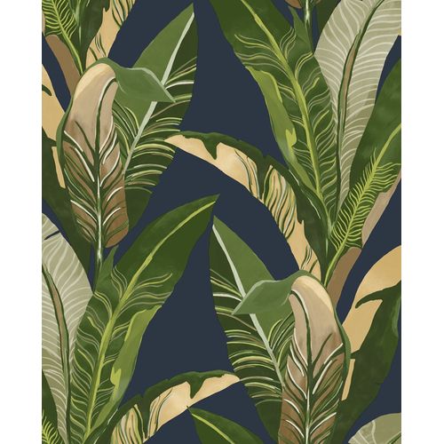 Vivid-384504 Vivid-384504