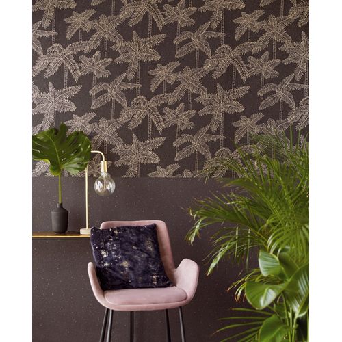 Vivid-384515-Ambiente Vivid-384515-Ambiente