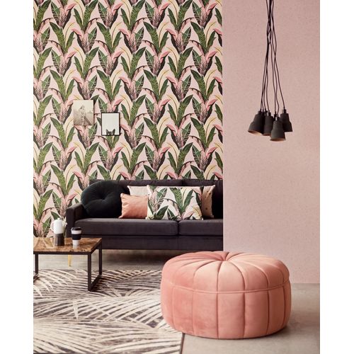 Vivid-384522-Ambiente Vivid-384522-Ambiente