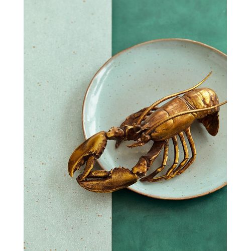 Vivid-384554-Ambiente Vivid-384554-Ambiente