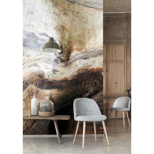 Woods-86151575-Ambiente Woods-86151575-Ambiente