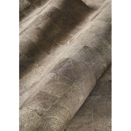 Woods-86012532-Zoom Woods-86012532-Zoom