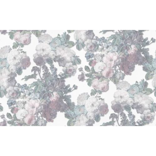 Raizes-1015301 Raizes-1015301