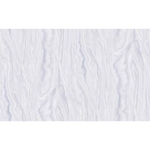 Raizes-1014931 Raizes-1014931