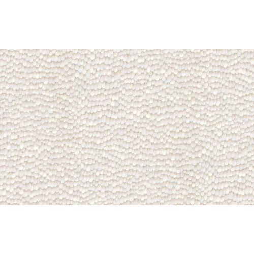 Raizes-1012943 Raizes-1012943