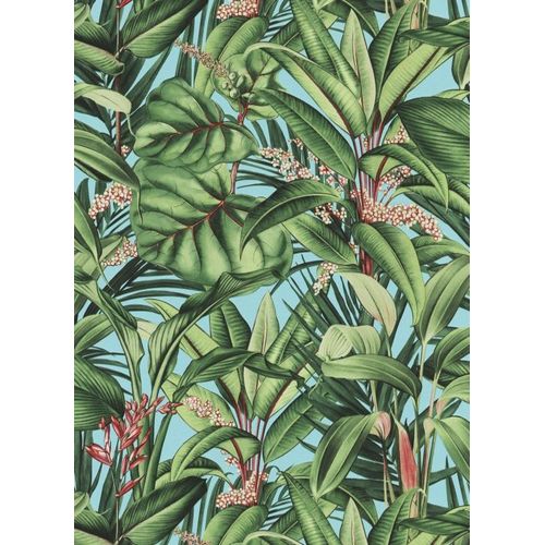 Raizes-1012218 Raizes-1012218