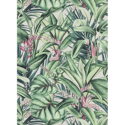 Raizes-1012207 Raizes-1012207