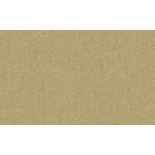 Raizes-1010830 Raizes-1010830