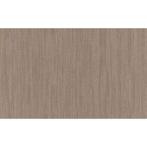 Raizes-630911 Raizes-630911