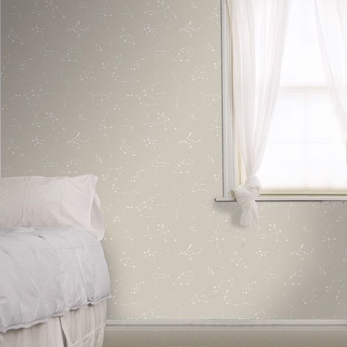 Pippo-3361-4-amb Pippo-3361-4-amb