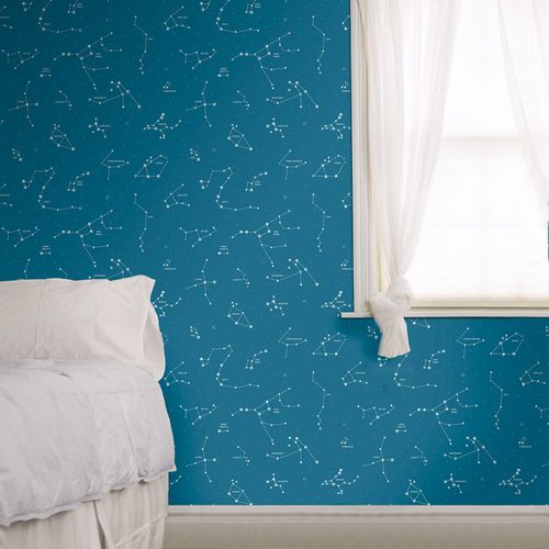 Pippo-3361-1-amb Pippo-3361-1-amb