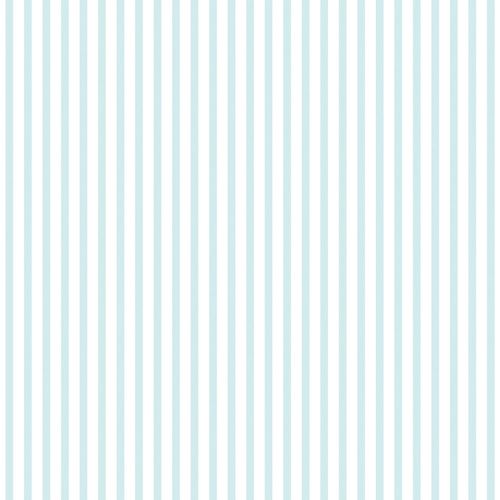 Pippo-462-2 Pippo-462-2